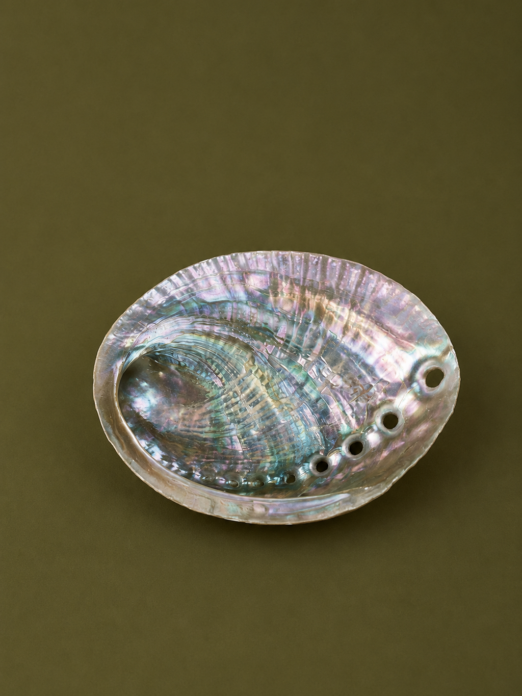Abalone Shell Incense Holder