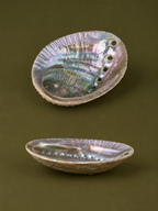 Abalone Shell Incense Holder