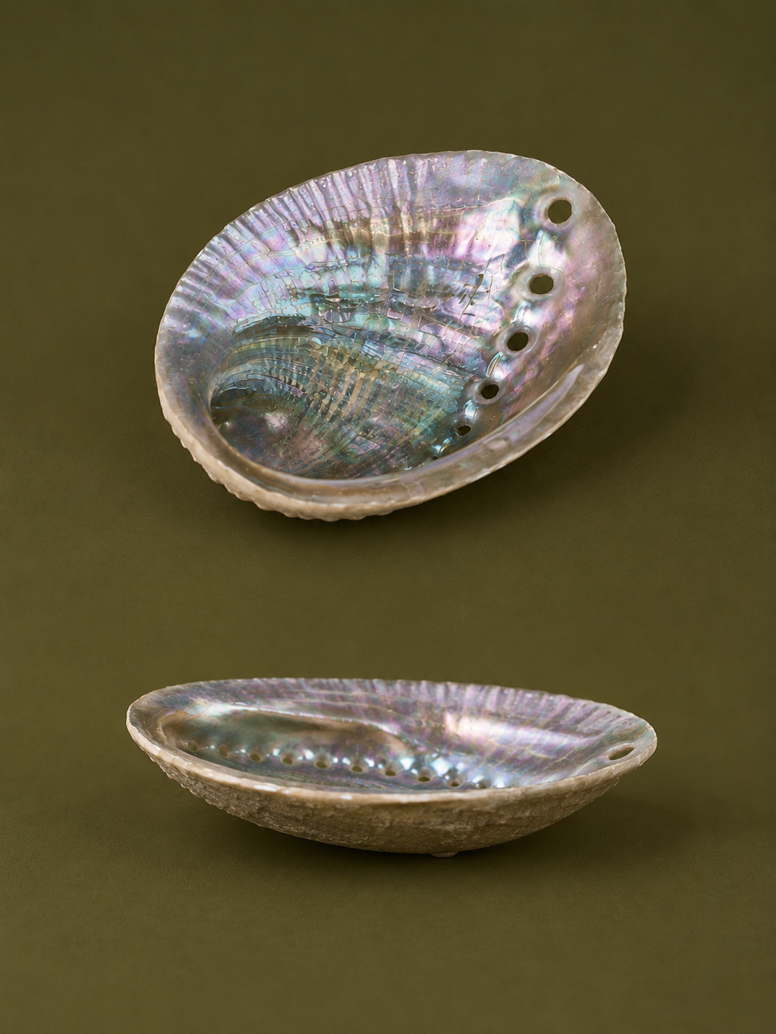 Abalone Shell Incense Holder