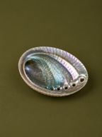 Abalone Shell Incense Holder