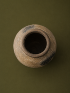 Forest Clay