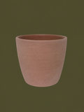 Terracotta Plant Pot