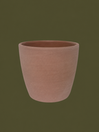 Terracotta Plant Pot