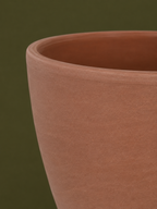 Terracotta Plant Pot